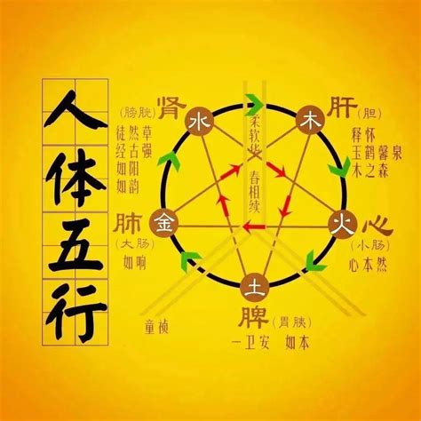 土木火金水|五行生克（哲学理论）